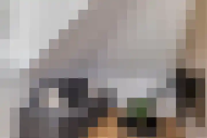 Varsseveldstraat 1 Tilburg thumbnail 31