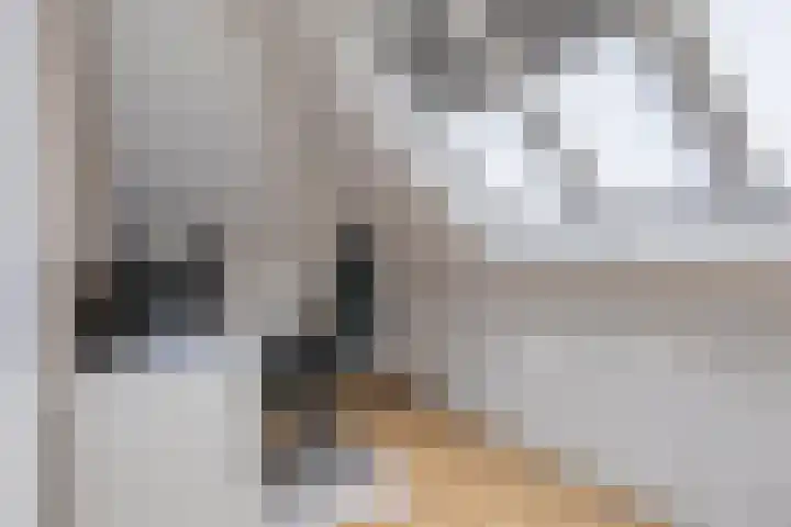 Varsseveldstraat 1 Tilburg thumbnail 32