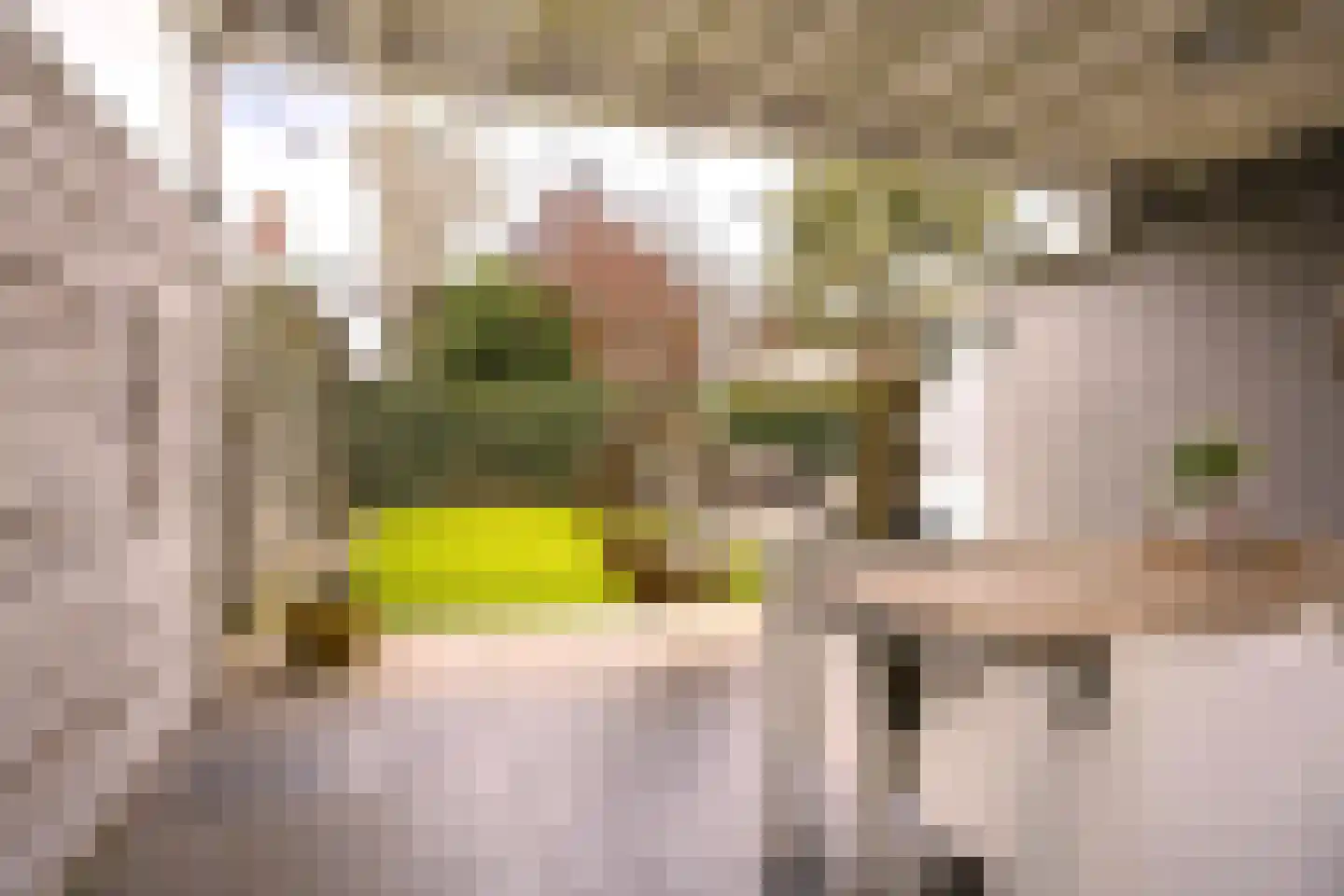 Varsseveldstraat 145 Tilburg thumbnail 37