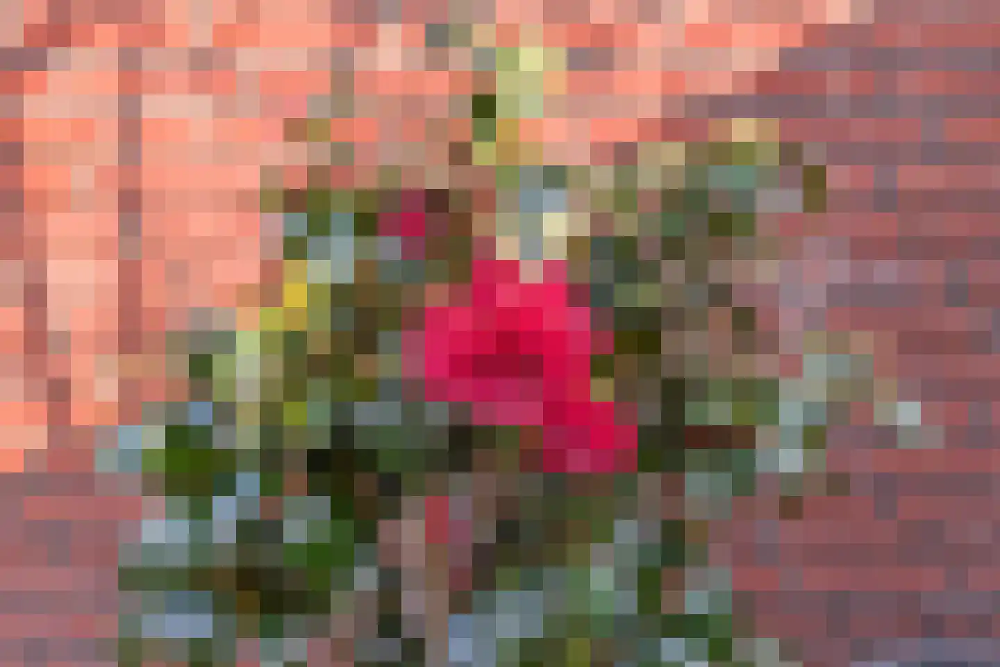 Varsseveldstraat 17 Tilburg thumbnail 33