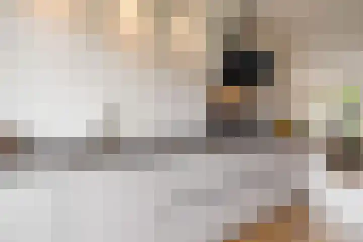Varsseveldstraat 38 Tilburg thumbnail 14