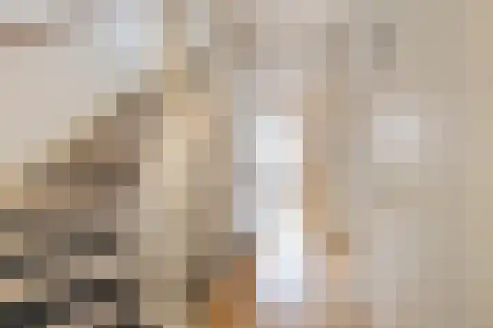 Varsseveldstraat 38 Tilburg thumbnail 18