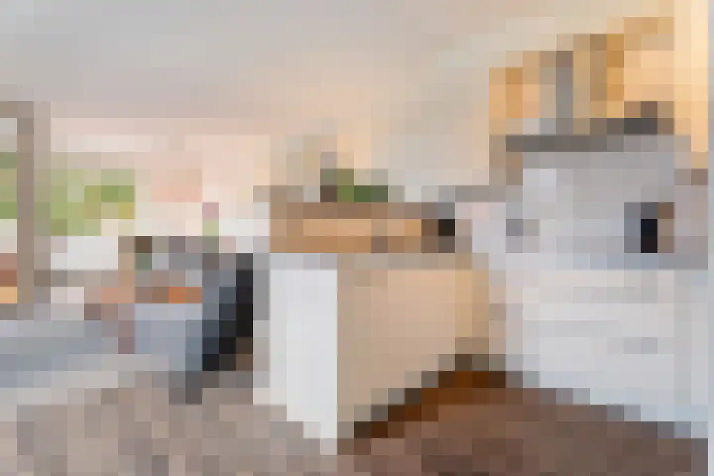 Varsseveldstraat 70 Tilburg thumbnail 9