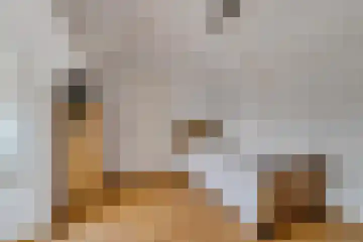 Varviksingel 171 Enschede thumbnail 32
