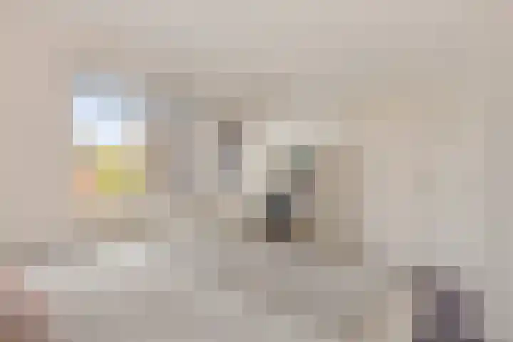 Varviksingel 188 Enschede thumbnail 35