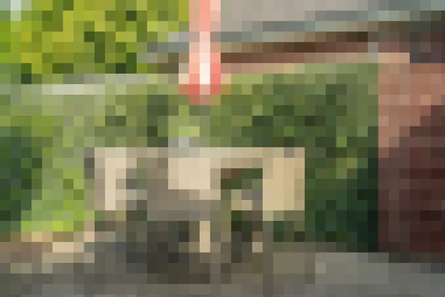 Varviksingel 200 Enschede thumbnail 50