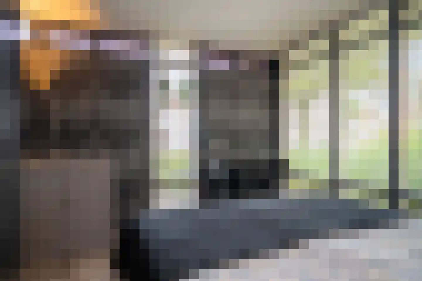 Varviksingel 200 Enschede thumbnail 64