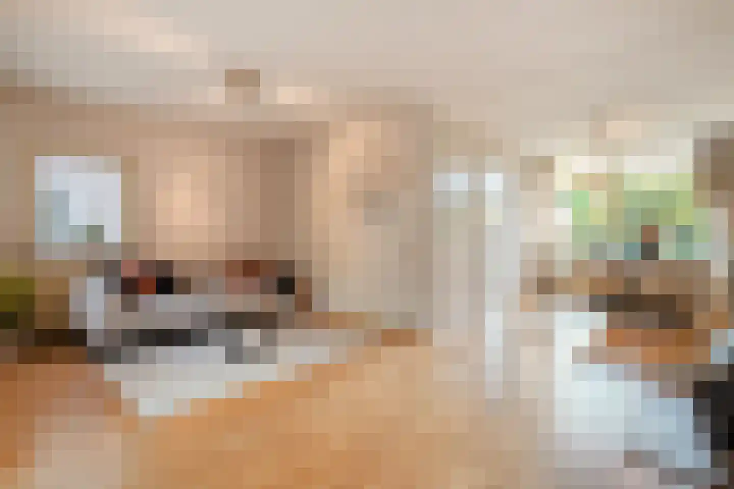 Varviksingel 21 Enschede thumbnail 16