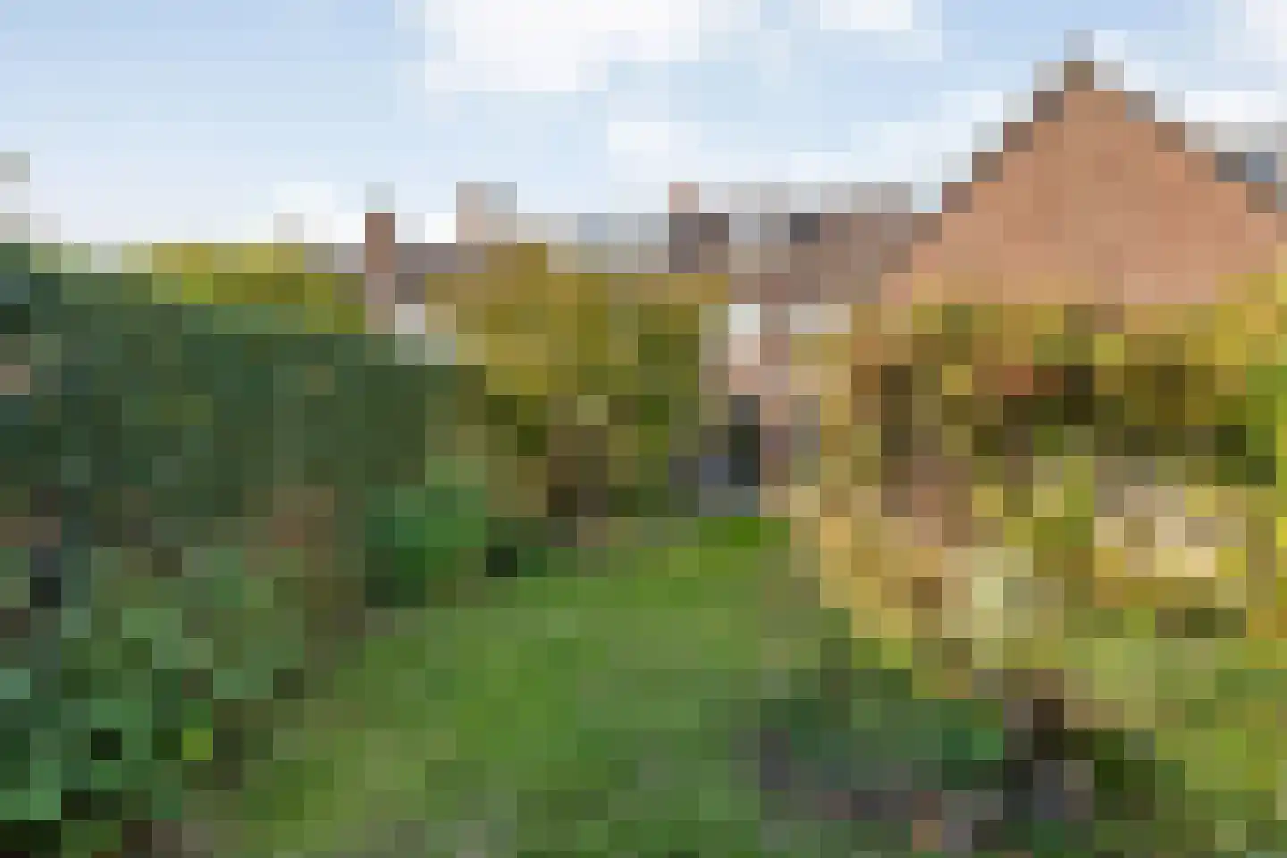 Varviksingel 21 Enschede thumbnail 41