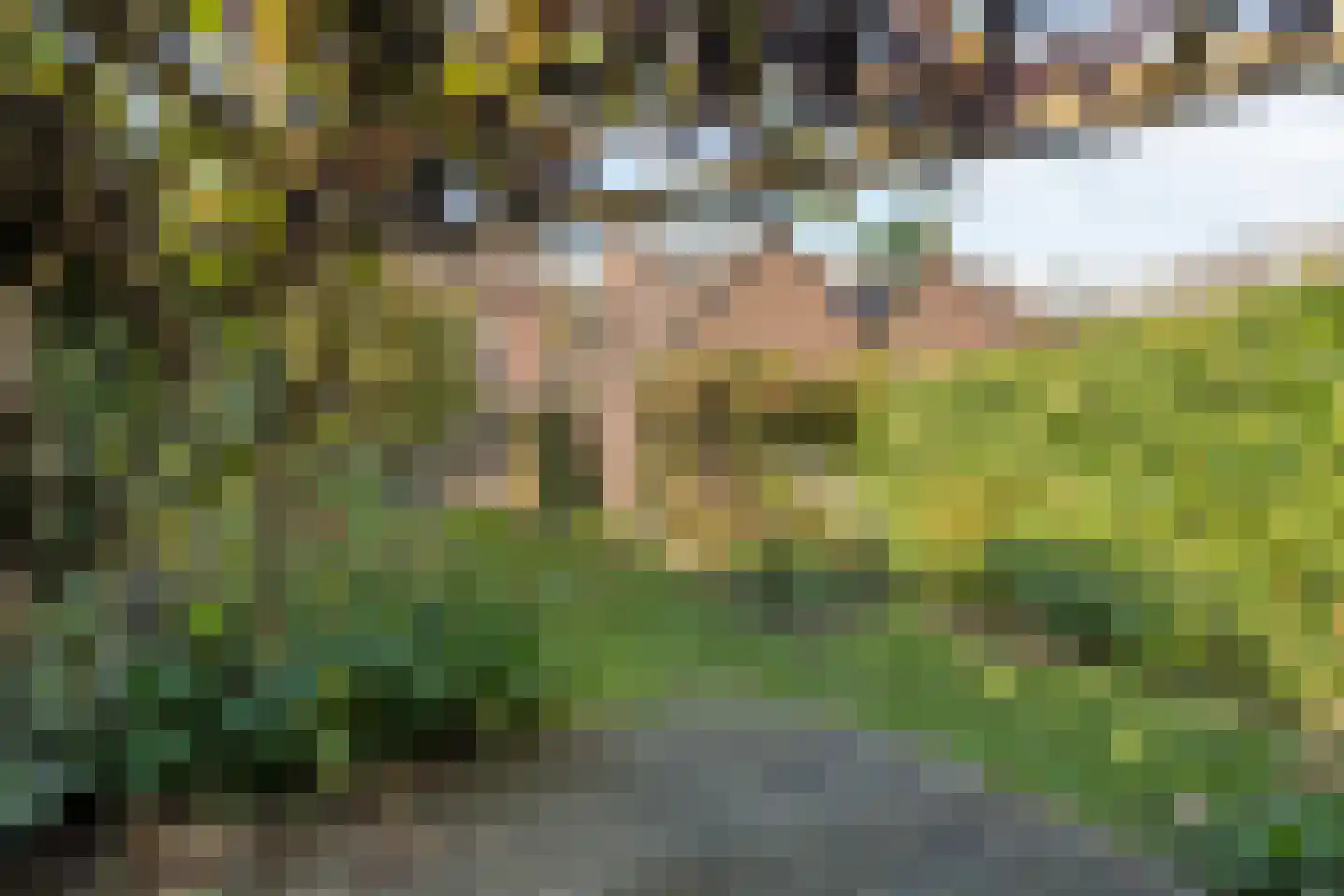 Varviksingel 21 Enschede thumbnail 42