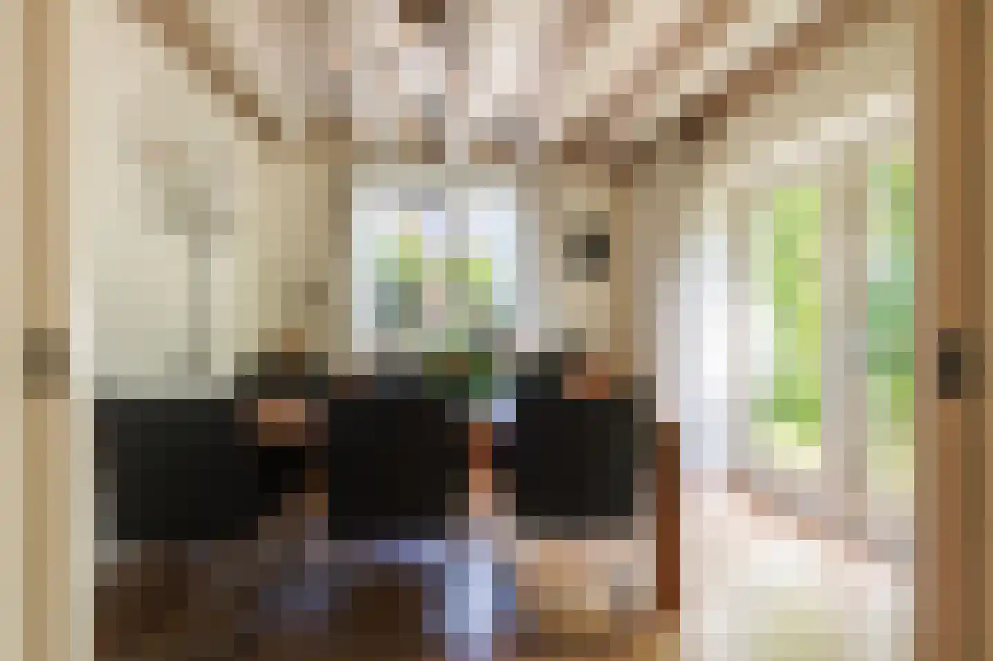 Vasalishof 15 Culemborg thumbnail 14