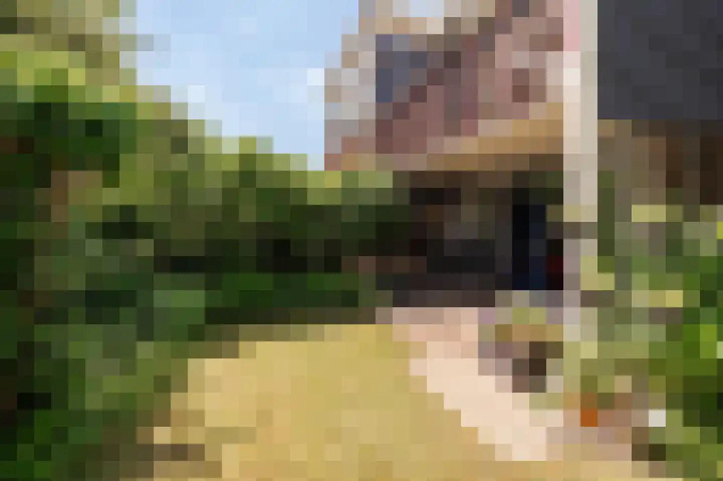 Vasalishof 15 Culemborg thumbnail 18