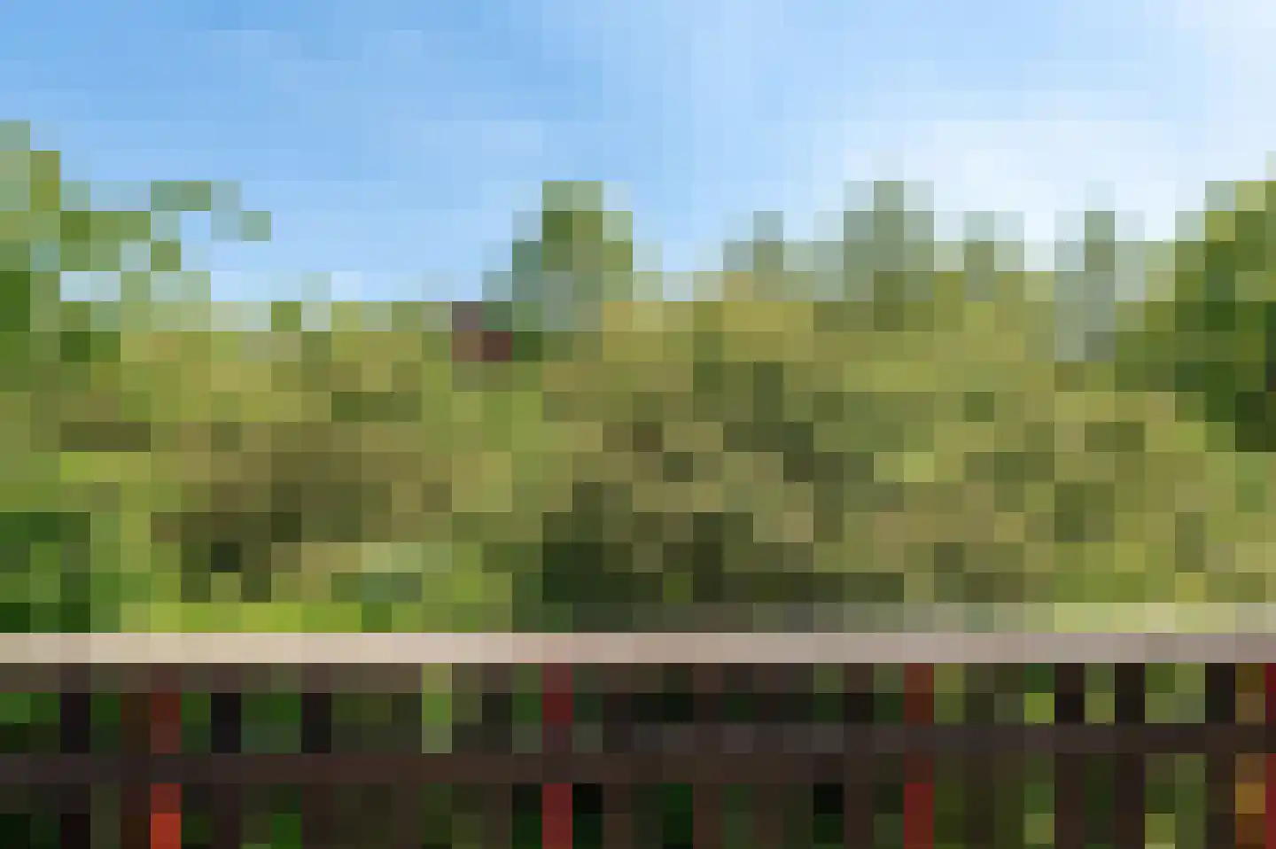Vasalishof 15 Culemborg thumbnail 48