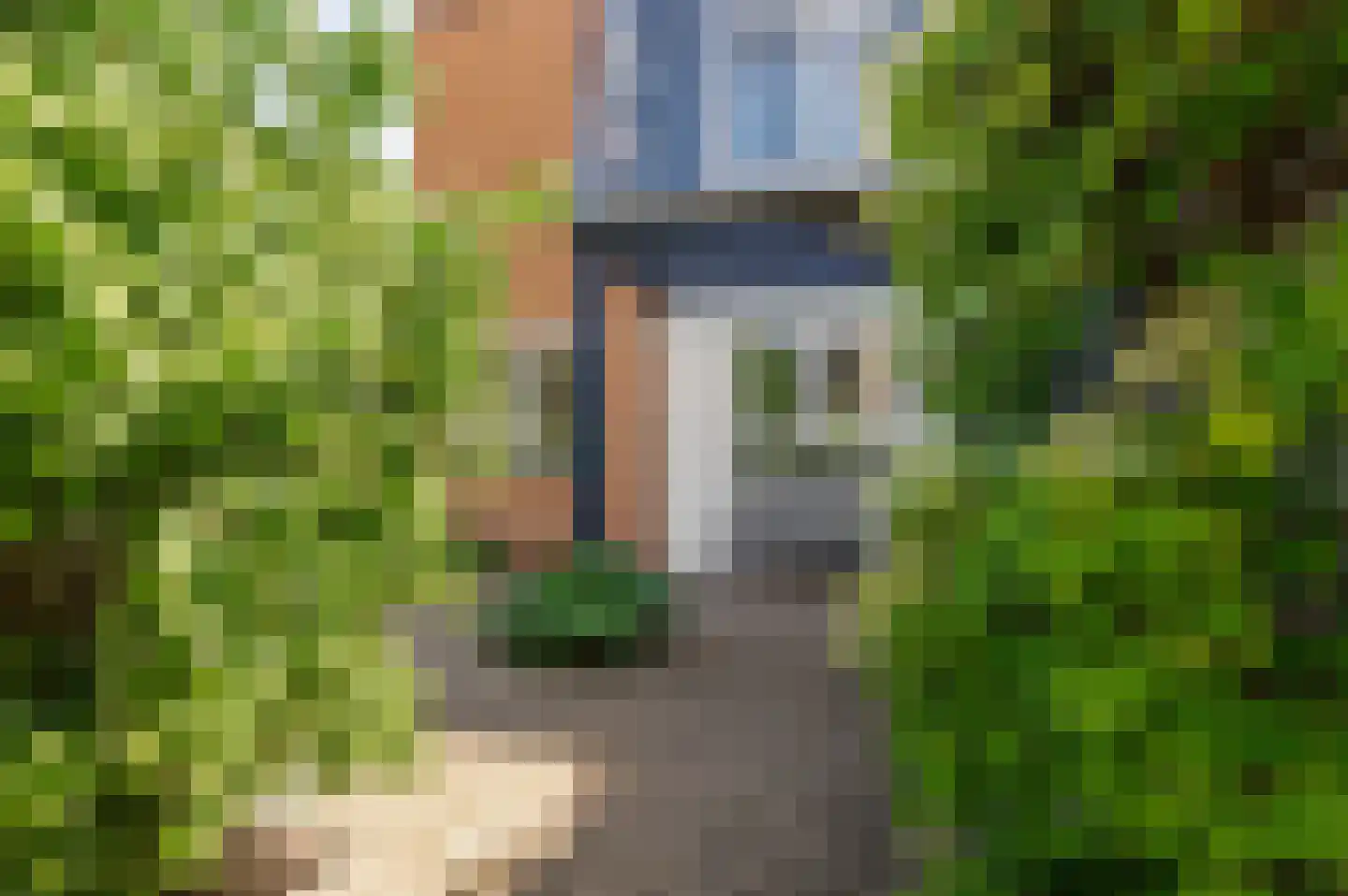 Vasalishof 15 Culemborg thumbnail 50