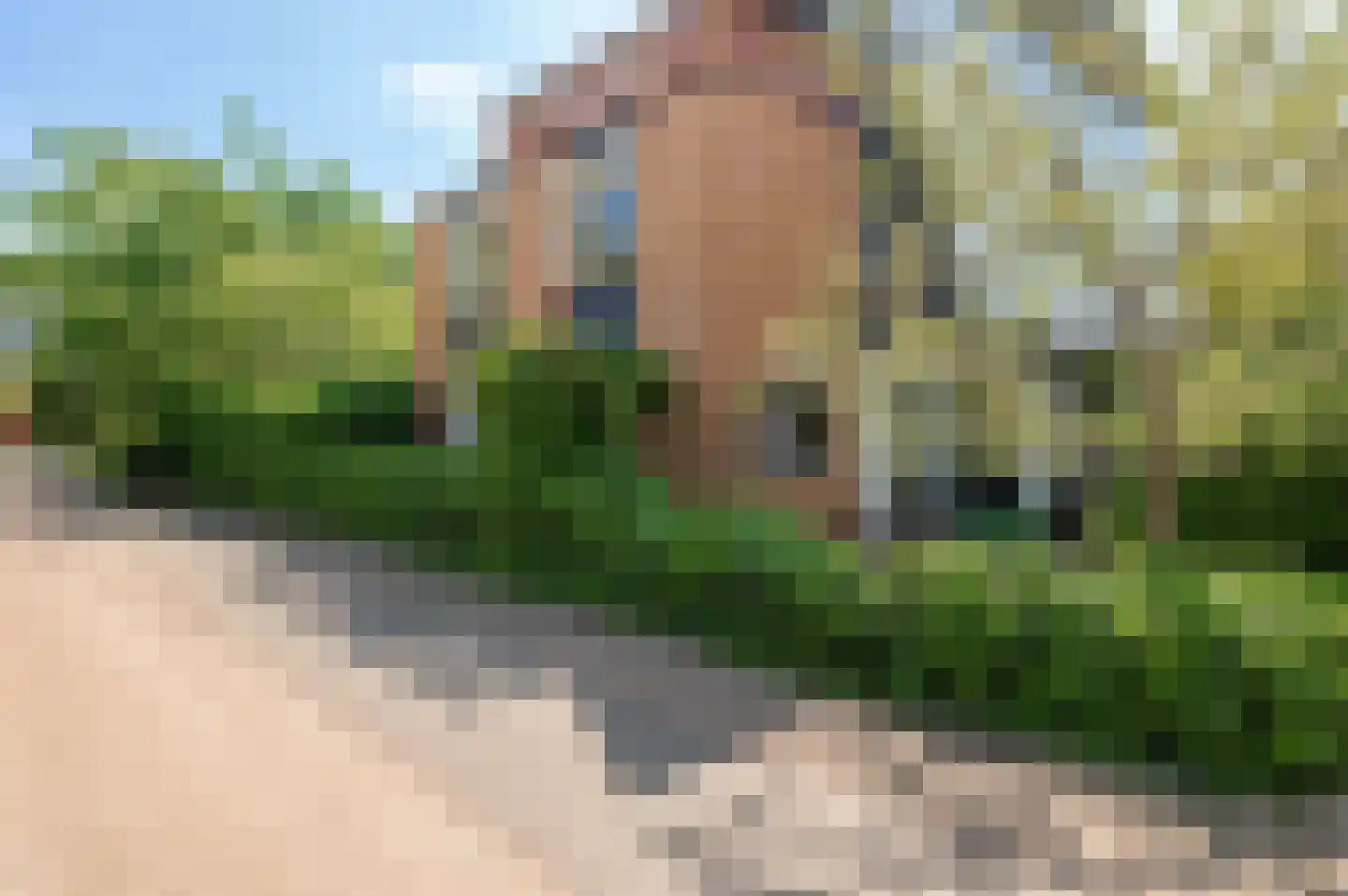Vasalishof 15 Culemborg thumbnail 52