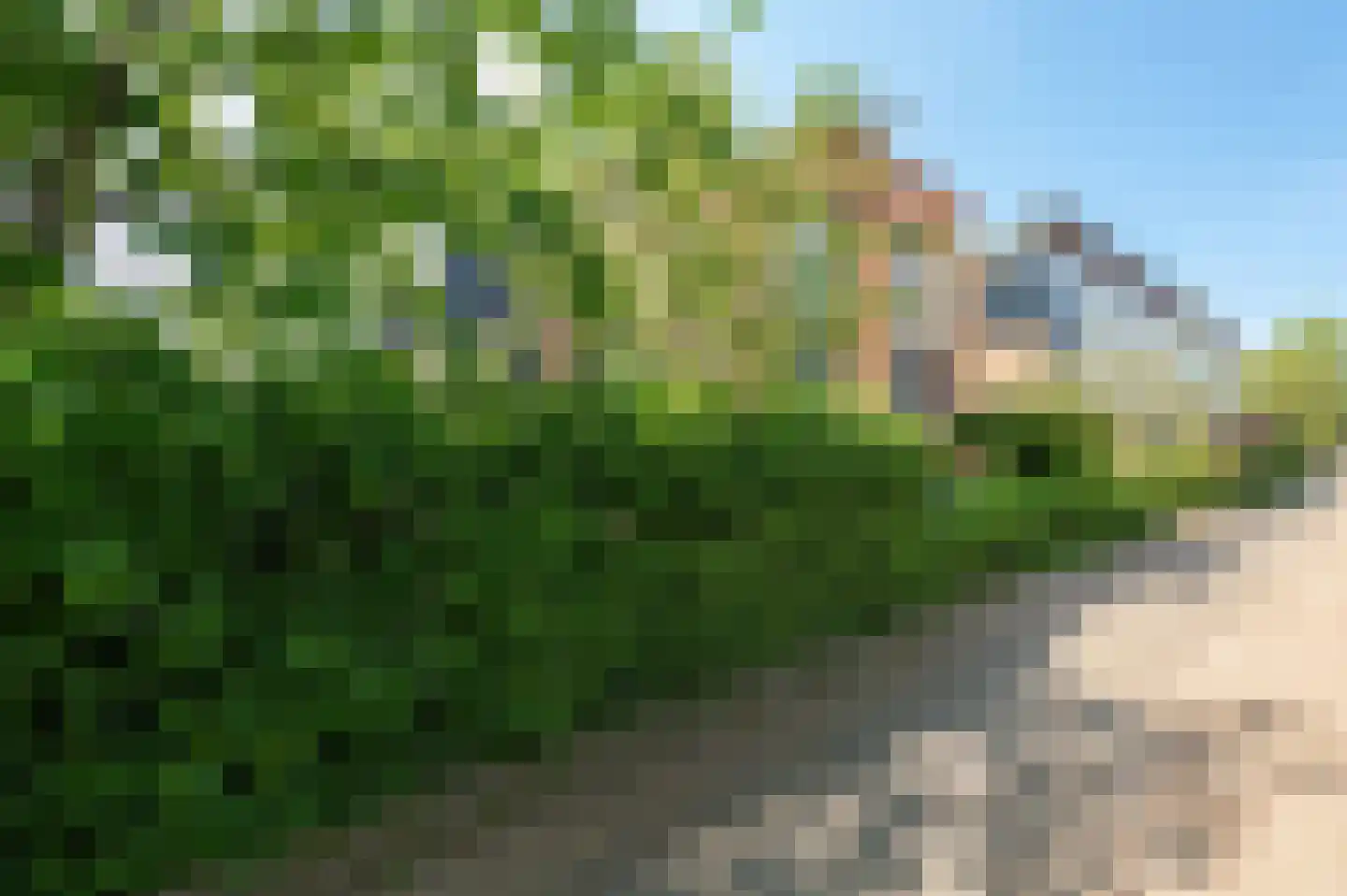 Vasalishof 15 Culemborg thumbnail 53