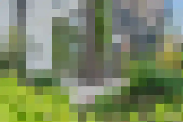 Vasalislaan 84 Groningen thumbnail 12
