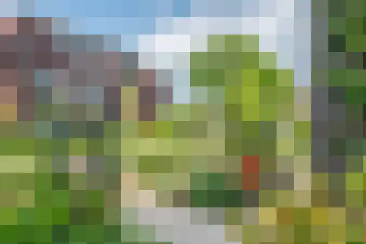 Vasalislaan 84 Groningen thumbnail 13