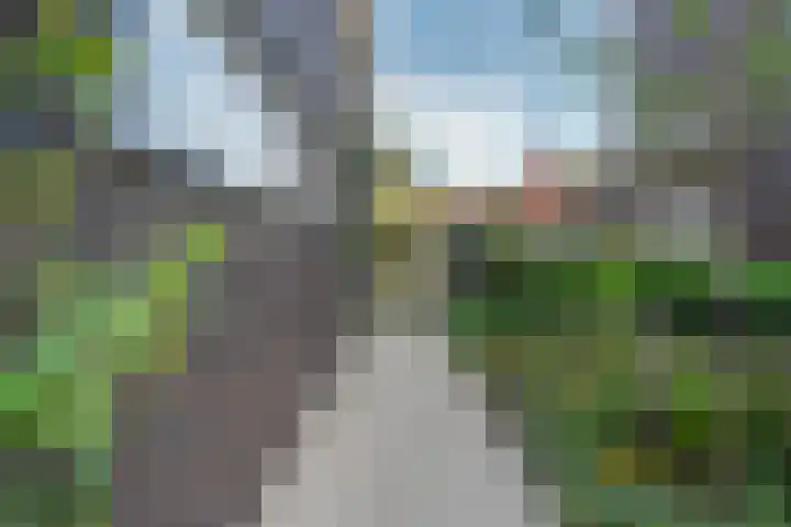 Vasalislaan 84 Groningen thumbnail 14