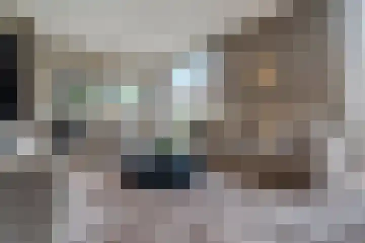 Vasalislaan 84 Groningen thumbnail 18