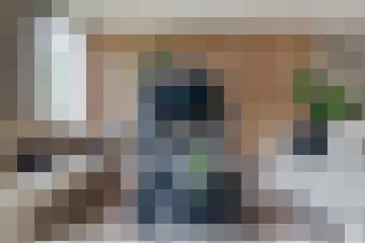 Vasalislaan 84 Groningen thumbnail 20