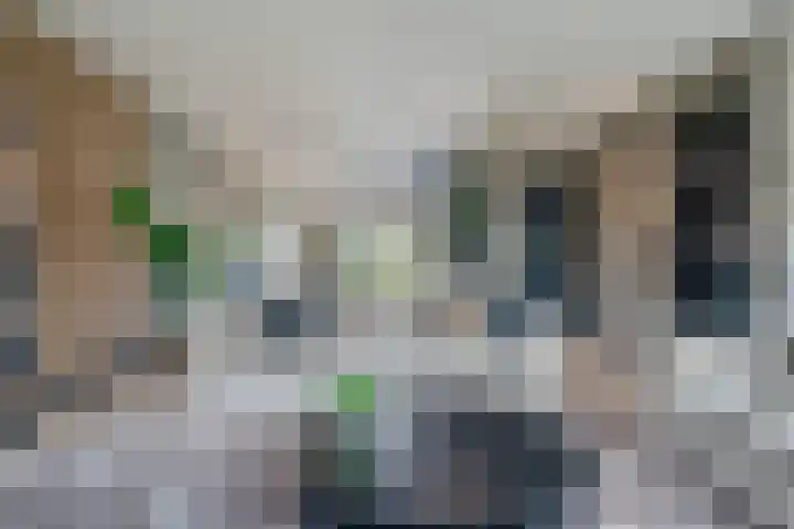 Vasalislaan 84 Groningen thumbnail 22
