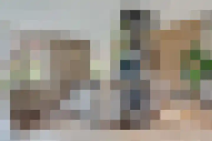Vasalislaan 84 Groningen thumbnail 23