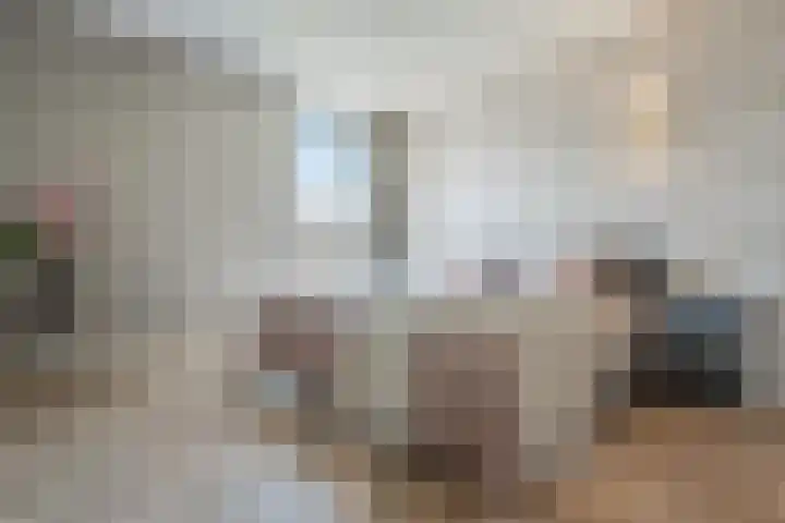 Vasalislaan 84 Groningen thumbnail 34