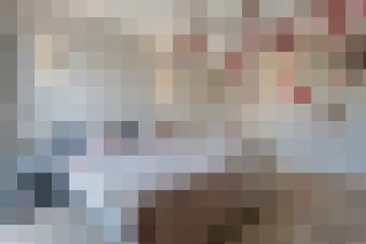 Vasalislaan 84 Groningen thumbnail 36