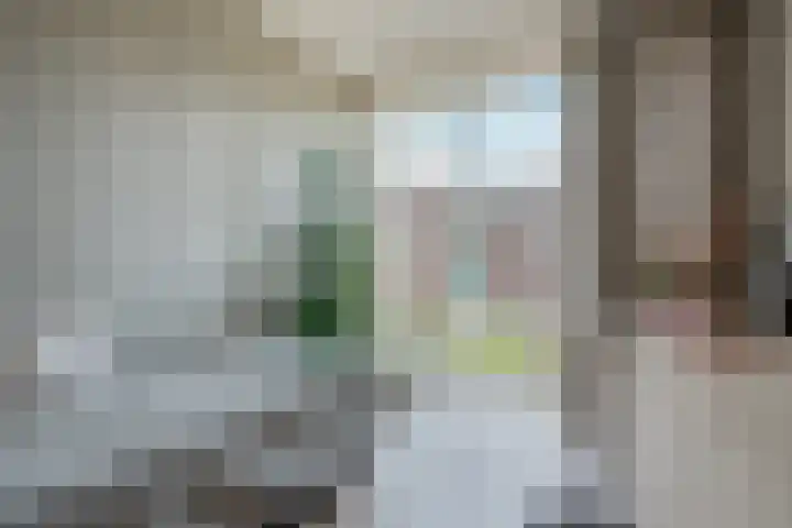Vasalislaan 84 Groningen thumbnail 39