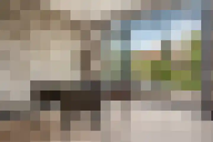 Vasalislaan 84 Groningen thumbnail 4