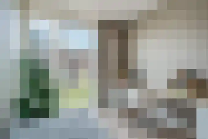 Vasalislaan 84 Groningen thumbnail 40