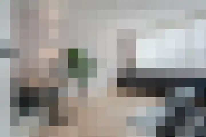 Vasalislaan 84 Groningen thumbnail 41
