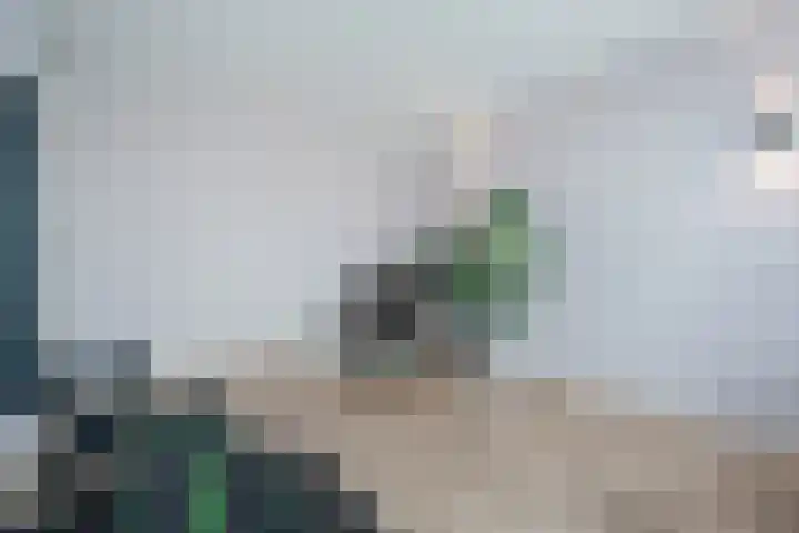 Vasalislaan 84 Groningen thumbnail 42