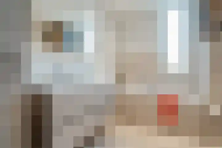 Vasalislaan 84 Groningen thumbnail 43