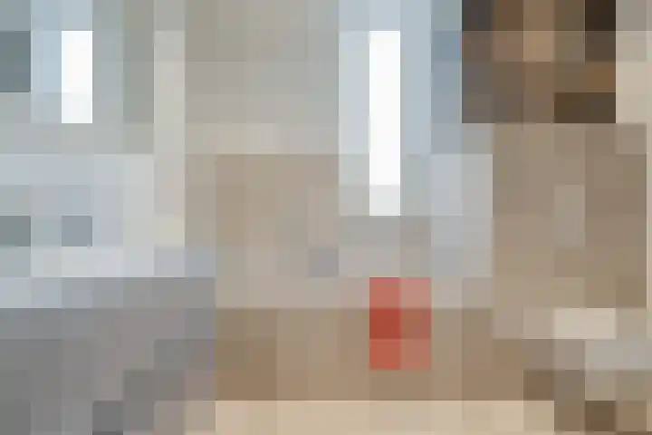 Vasalislaan 84 Groningen thumbnail 44