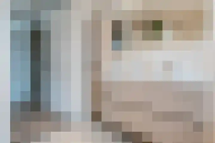 Vasalislaan 84 Groningen thumbnail 45