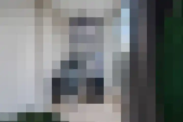 Vasalislaan 84 Groningen thumbnail 49