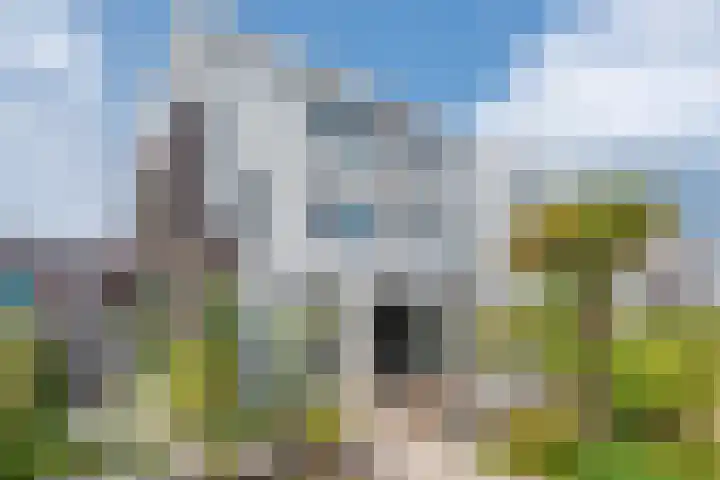Vasalislaan 84 Groningen thumbnail 5