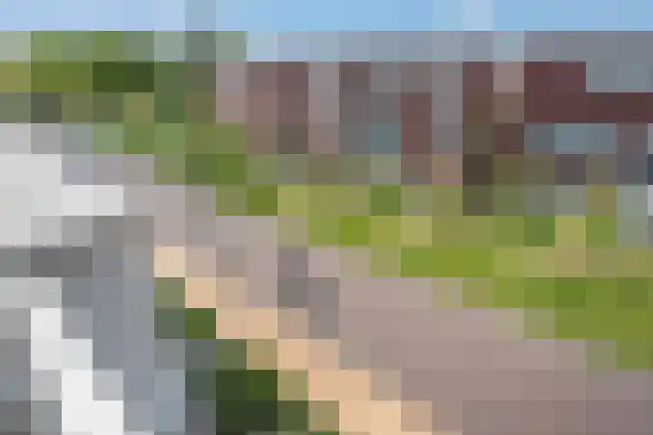 Vasalislaan 84 Groningen thumbnail 52