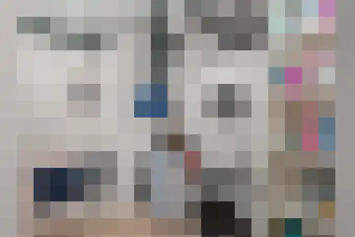 Vasalislaan 84 Groningen thumbnail 59