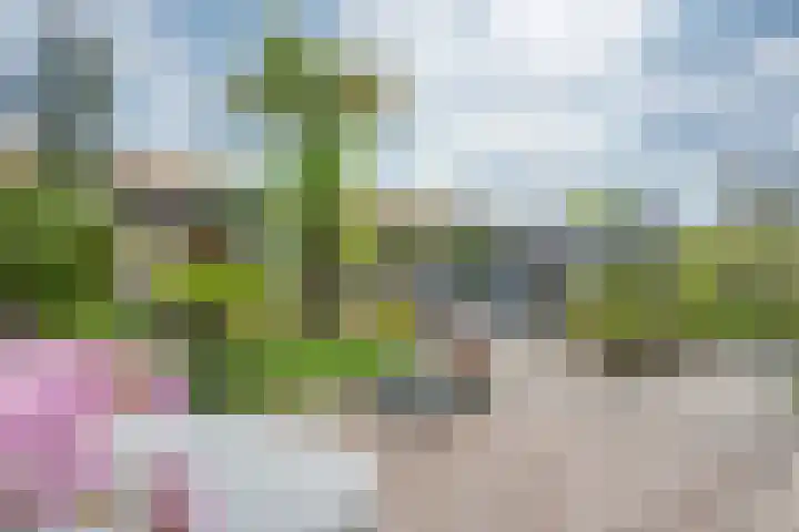 Vasalislaan 84 Groningen thumbnail 6