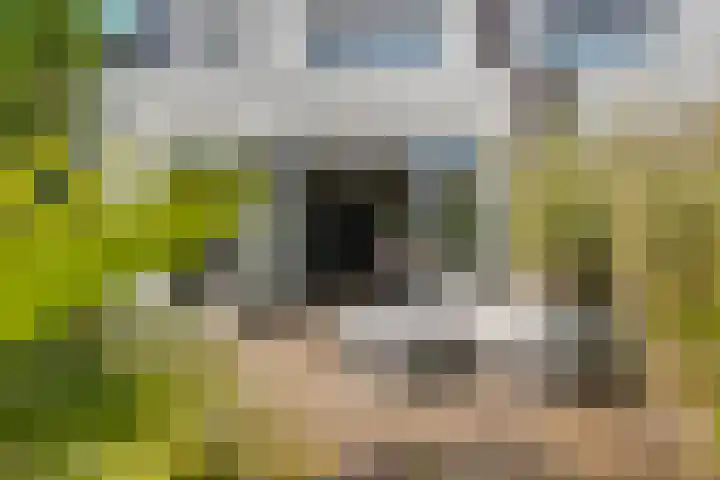 Vasalislaan 84 Groningen thumbnail 61