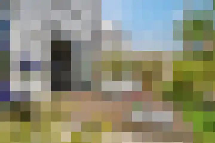 Vasalislaan 84 Groningen thumbnail 62