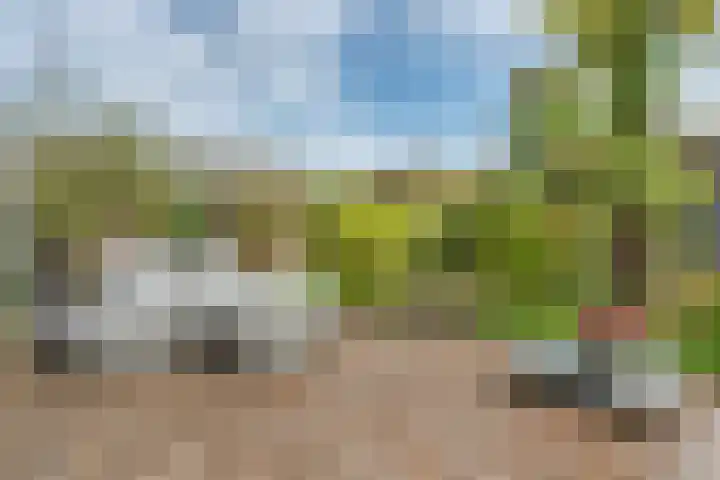 Vasalislaan 84 Groningen thumbnail 63