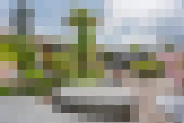 Vasalislaan 84 Groningen thumbnail 64