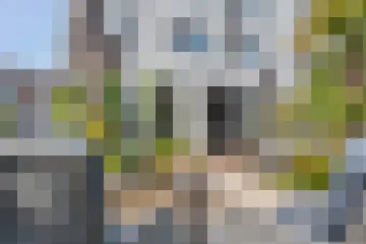 Vasalislaan 84 Groningen thumbnail 66