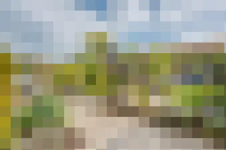 Vasalislaan 84 Groningen thumbnail 67