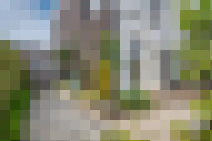 Vasalislaan 84 Groningen thumbnail 68
