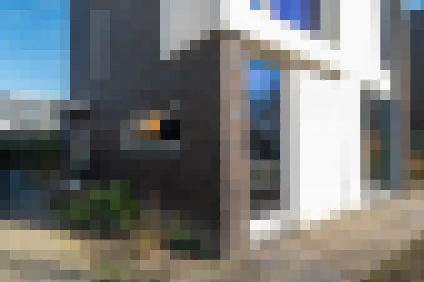 Vasalislaan 96 Groningen thumbnail 10